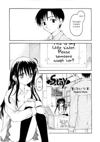 Stay